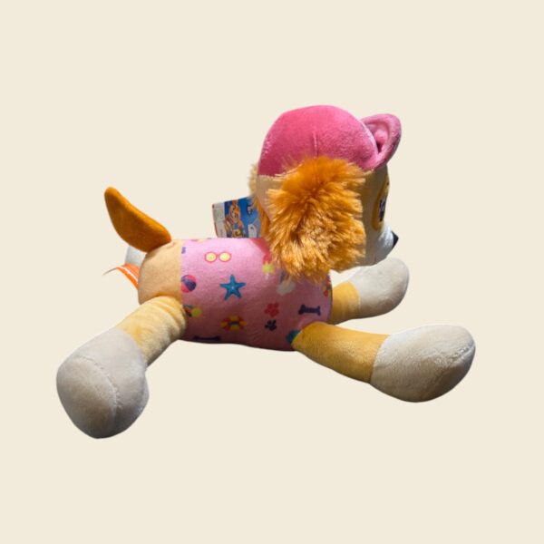 Paw Patrol hond Skye